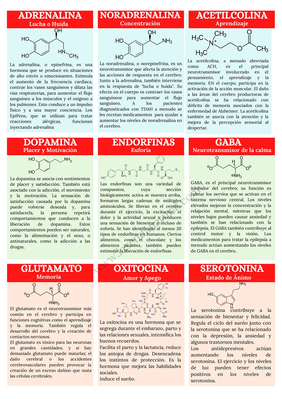 Neurotransmisores y sus efectos