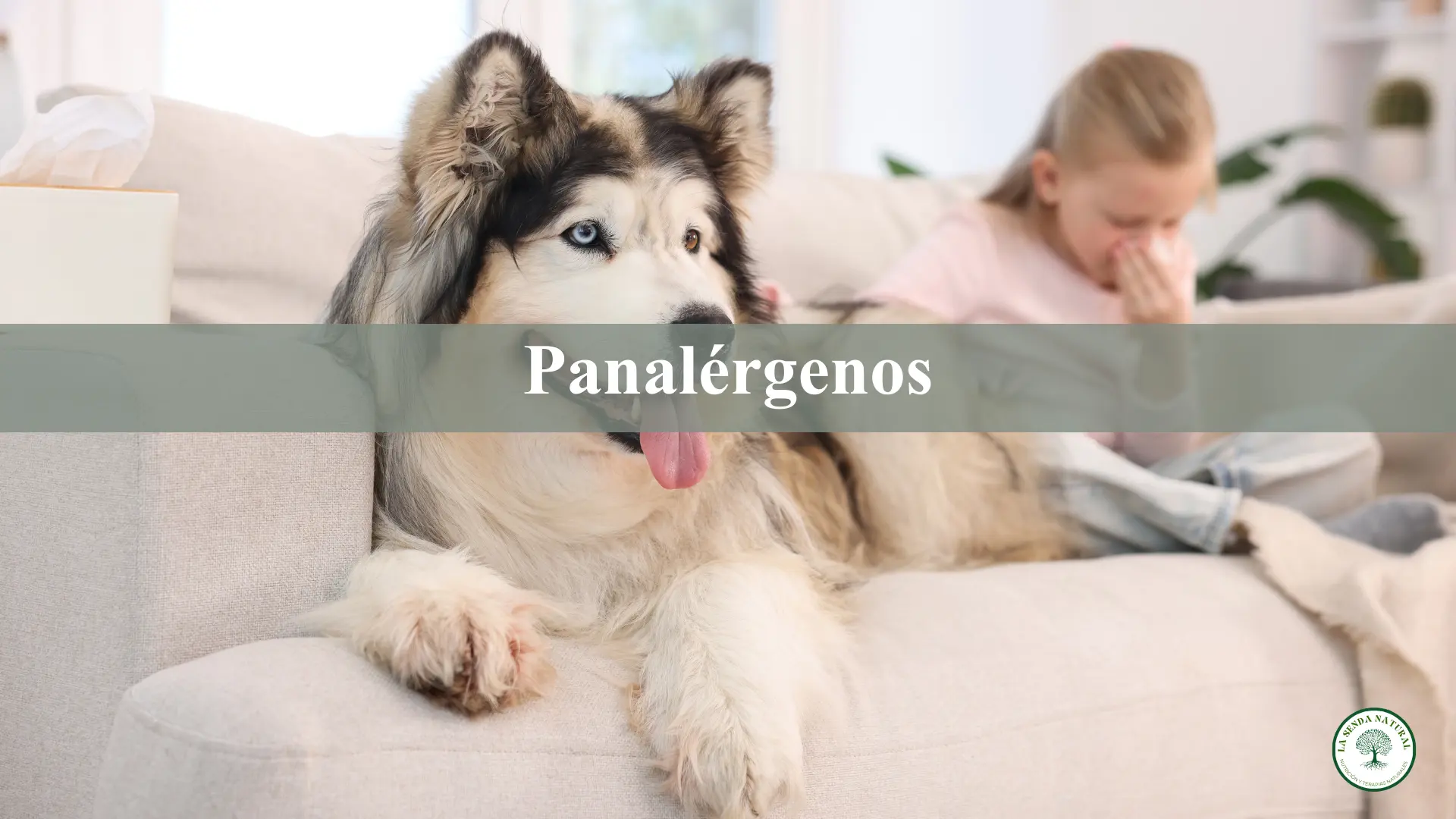 Panalérgenos