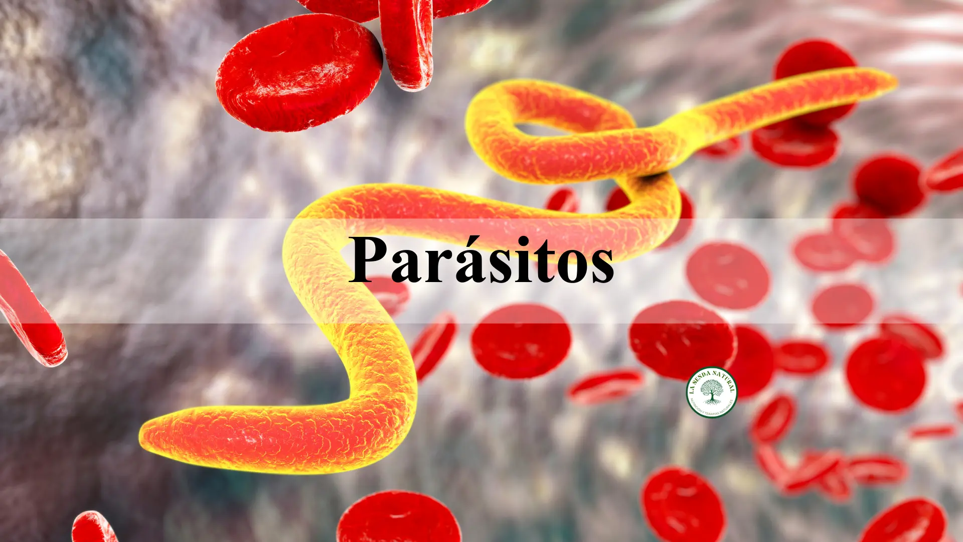 Qué son los Parásitos