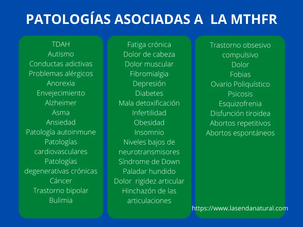 Patologías asociadas a la MTHFR