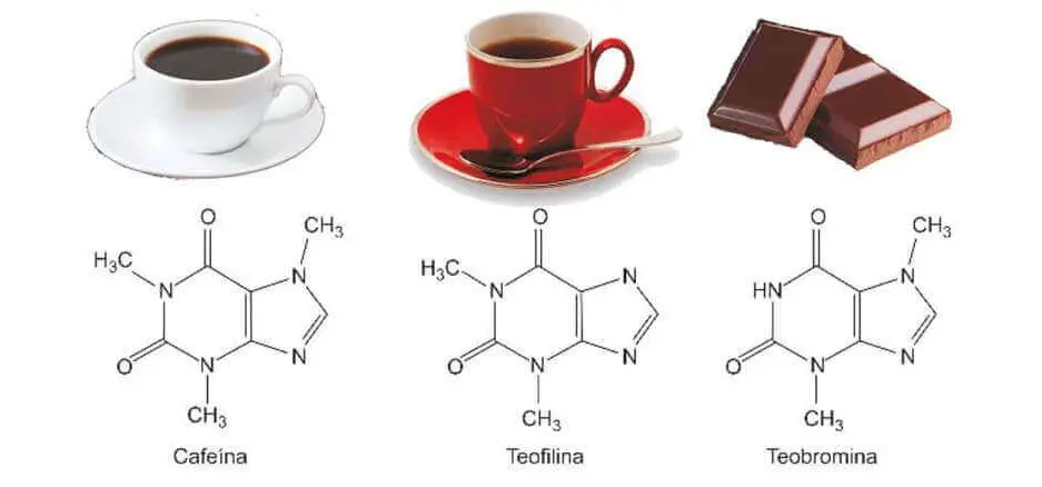 Principios activos del té
