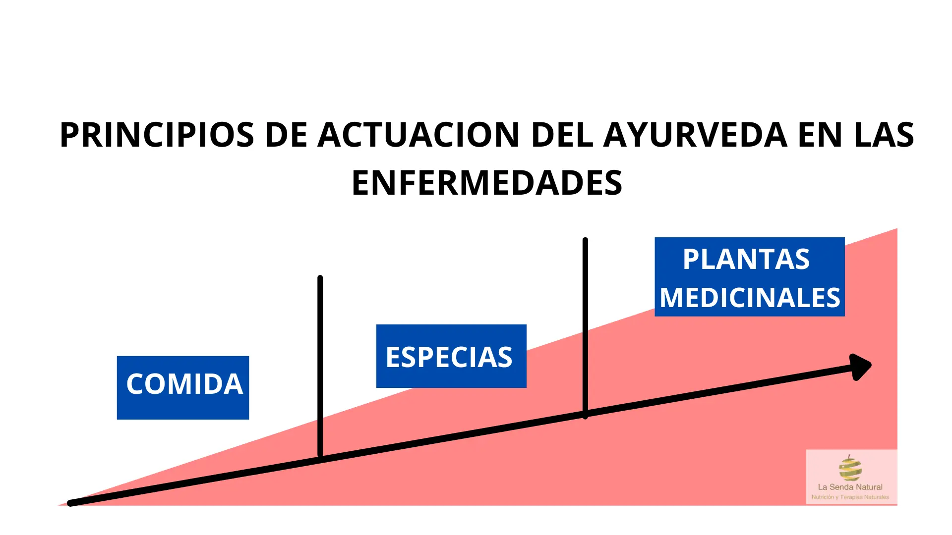 Principios de actuación del Ayurveda