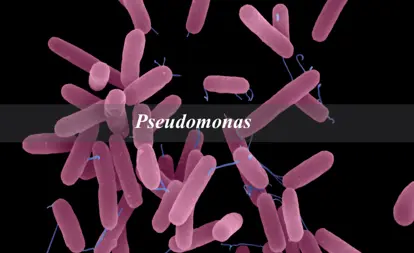 Pseudomonas