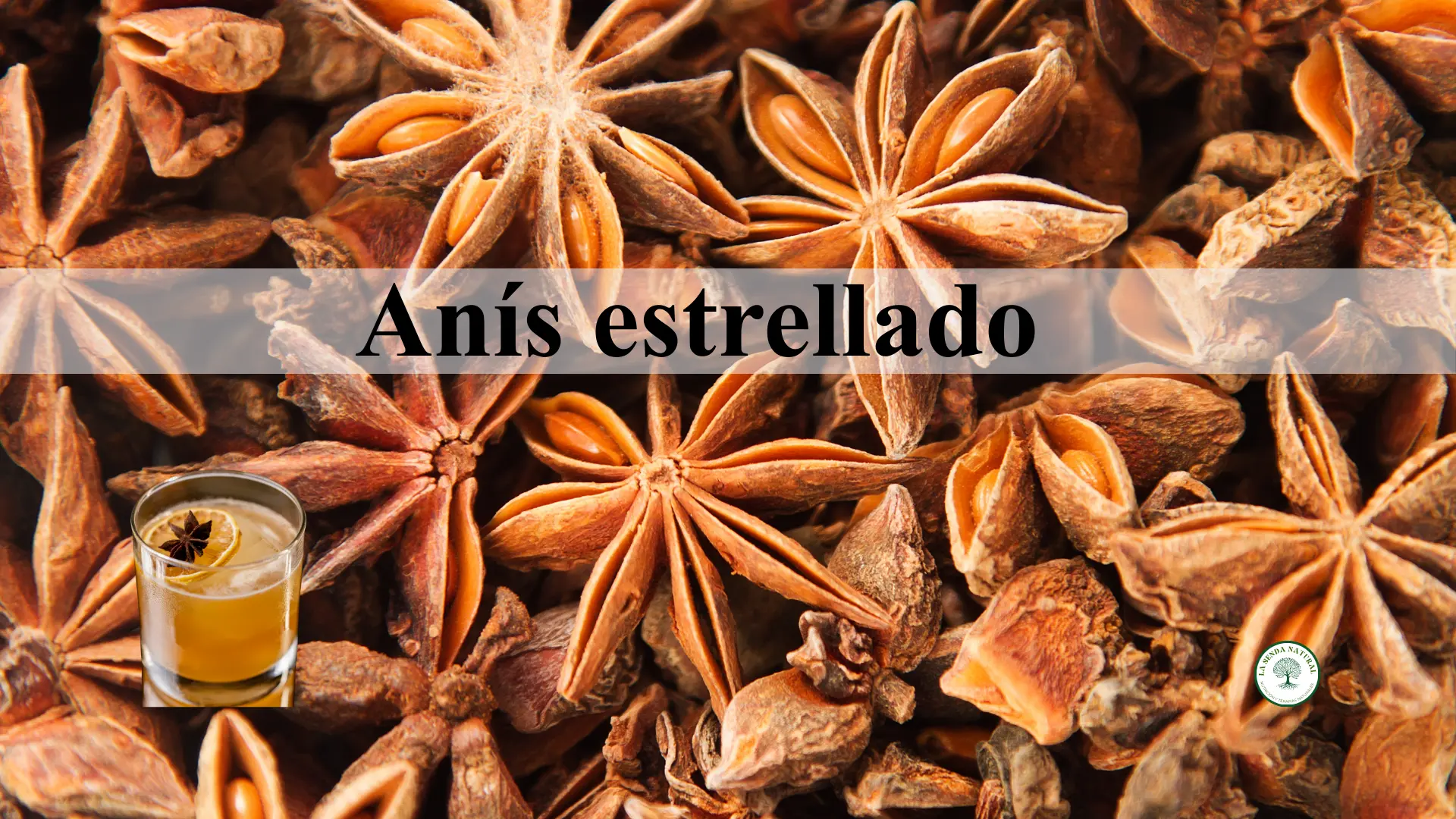 Qué es el anís estrellado