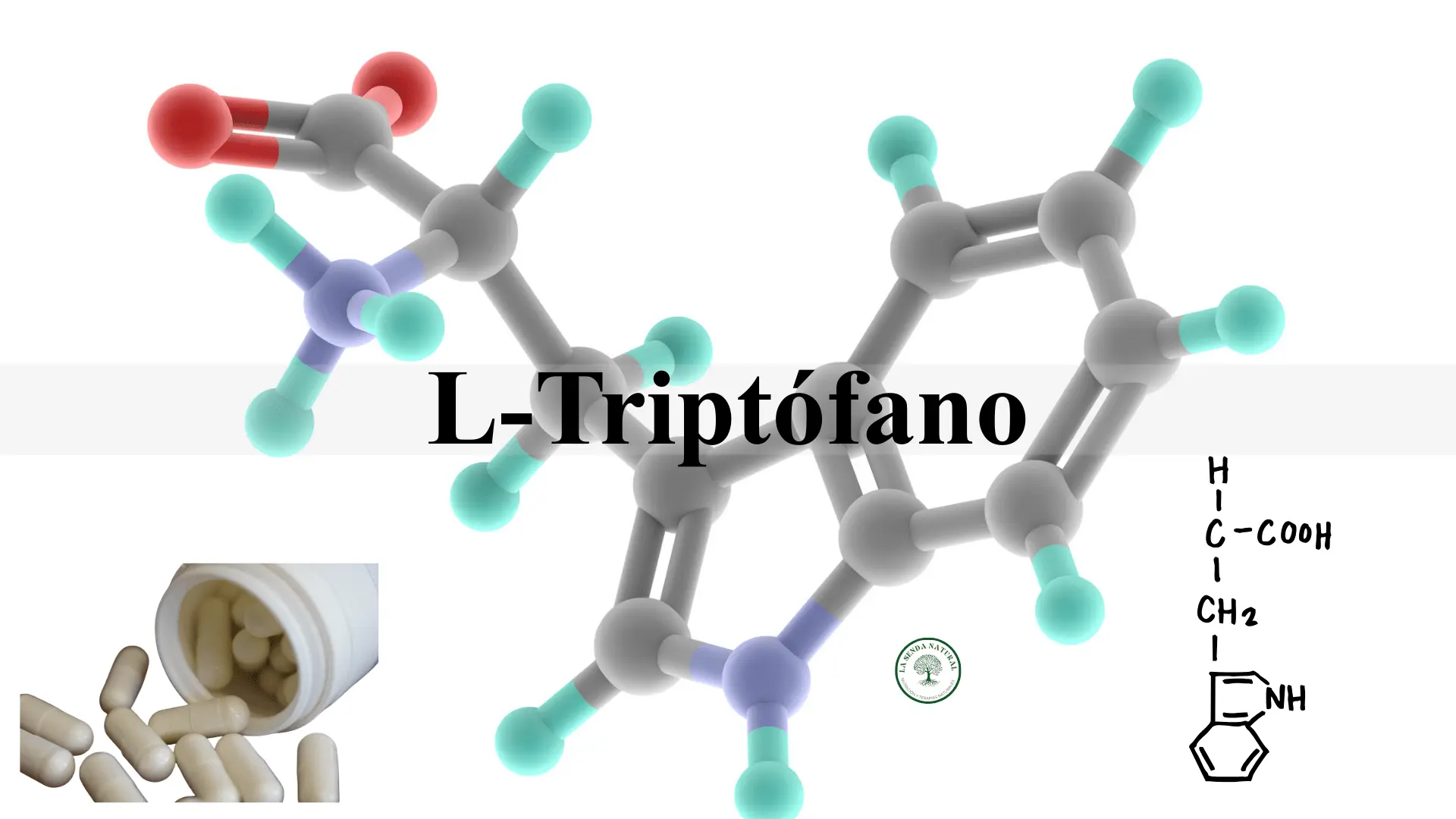 Qué es el triptófano