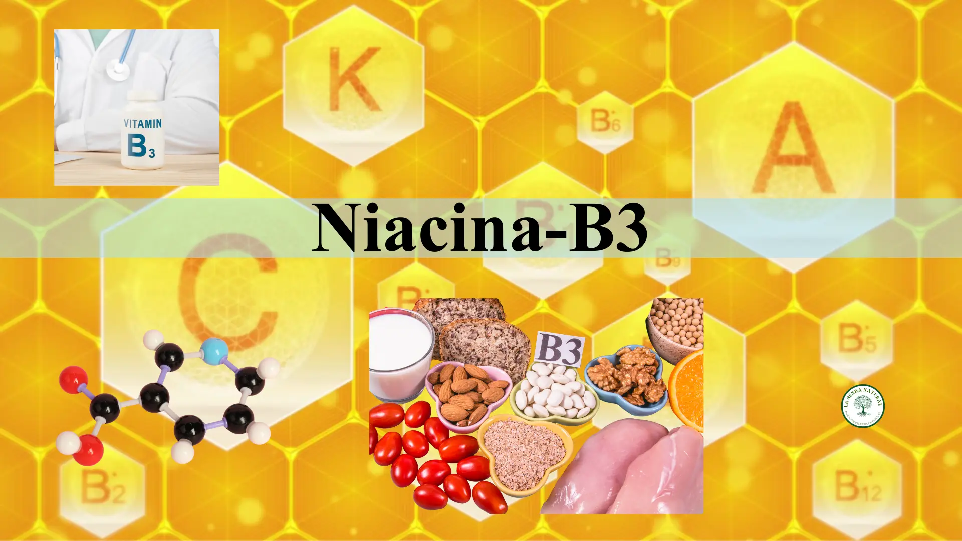 Qué es la Niacina