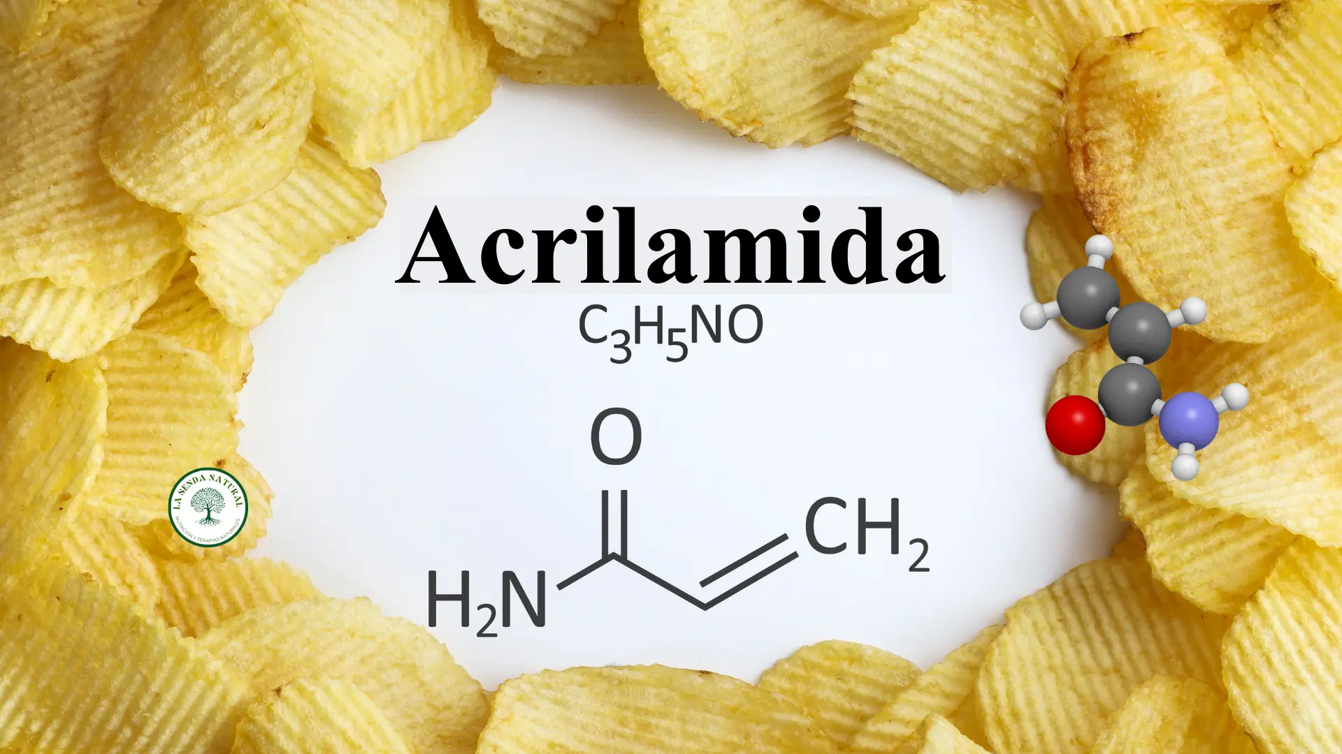 Que es la acrilamida