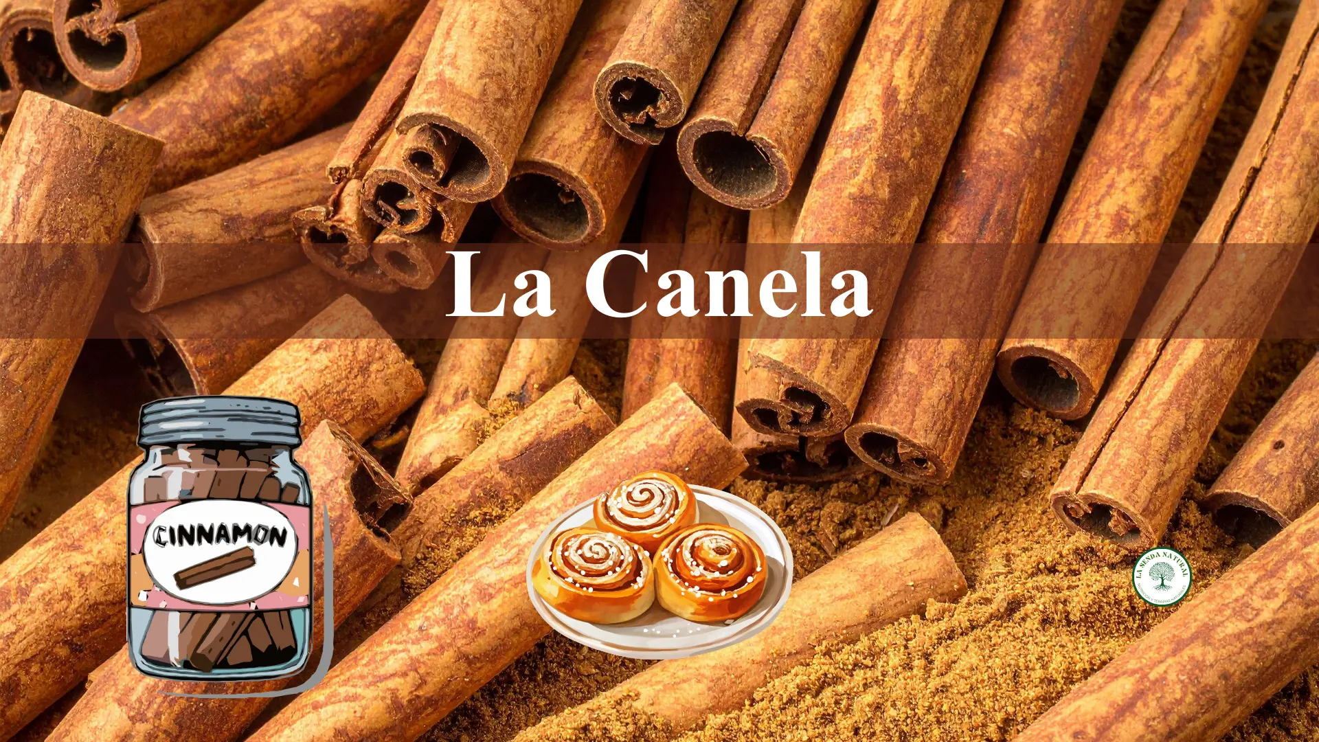 Qué es la canela