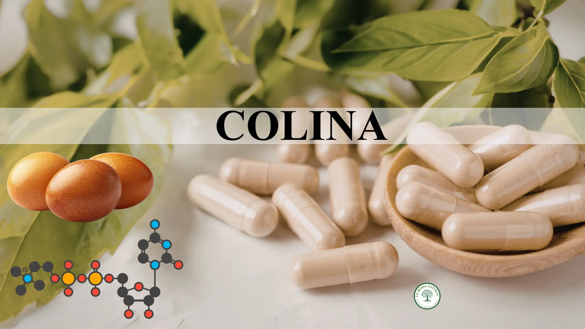 Qué es la colina