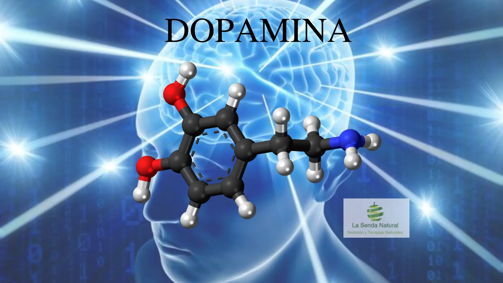 Qué es la dopamina