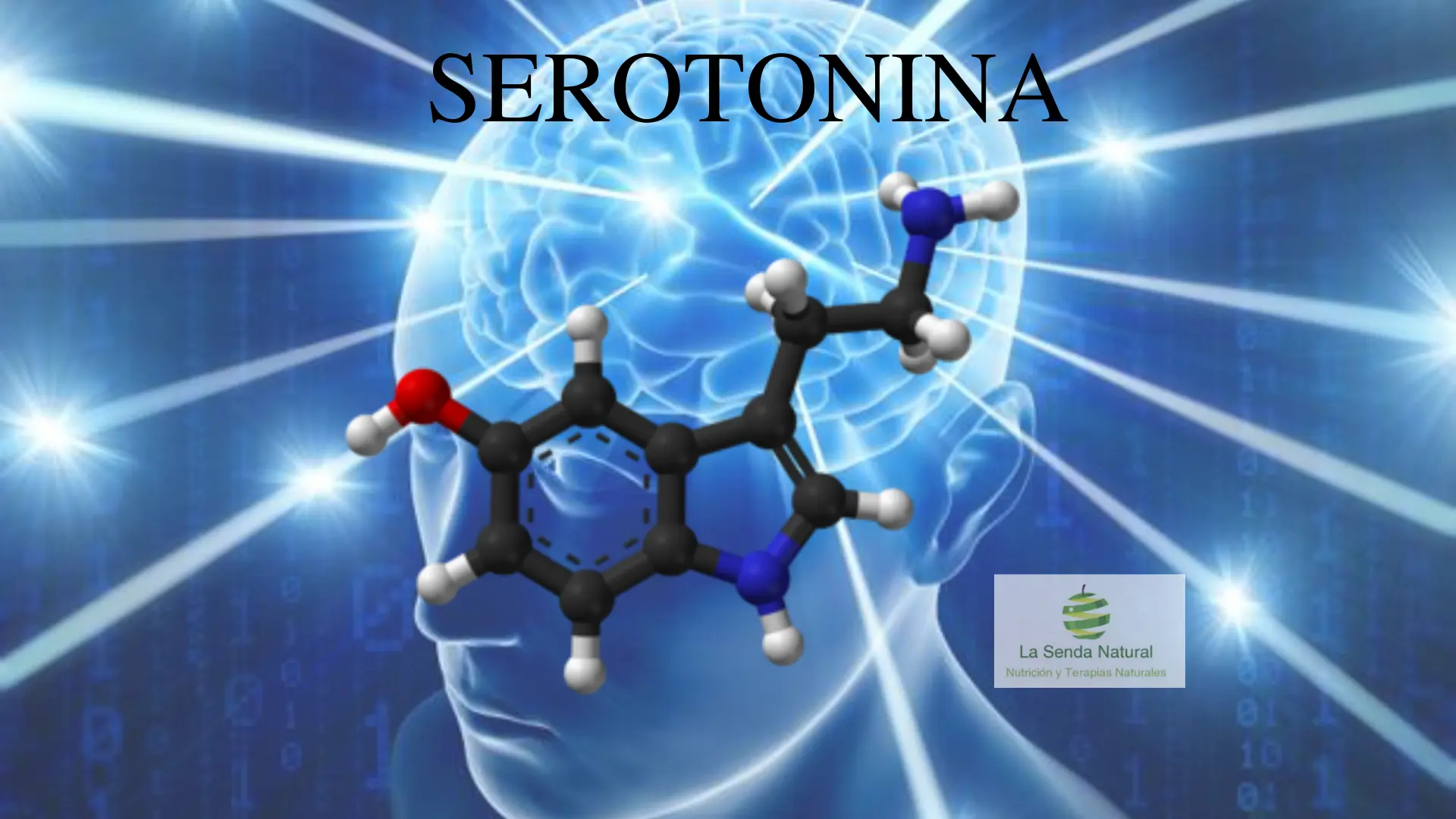Qué es la serotonina