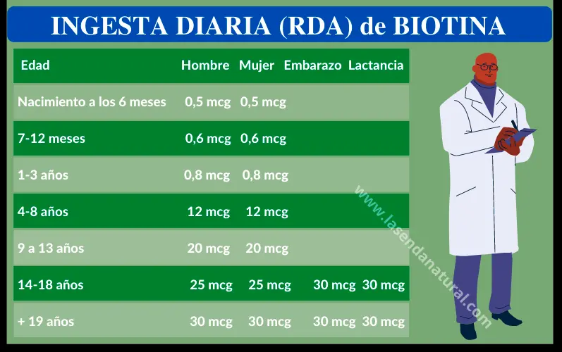 RDA Biotina B8