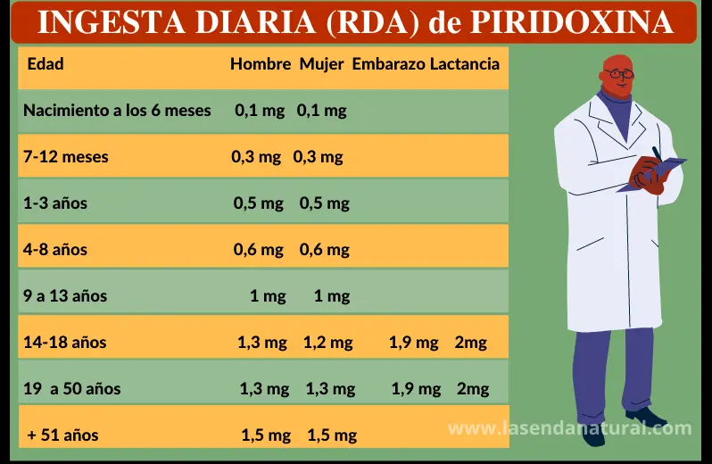 RDA Piridoxina (B6)