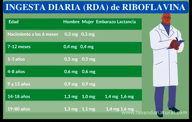 RDA RIboflavina (B2)