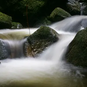 Rock Water