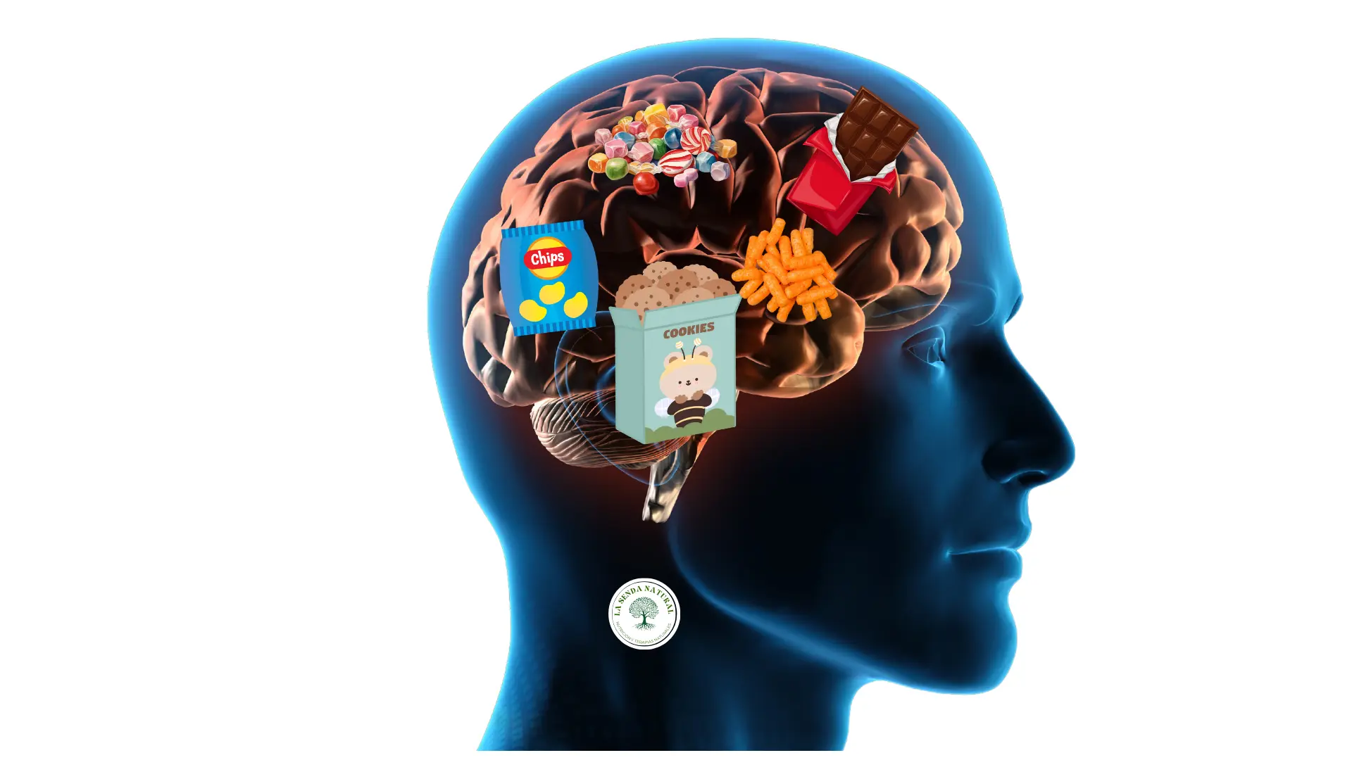 SUSTANCIAS QUE INFLUYEN NEGATIVAMENTE