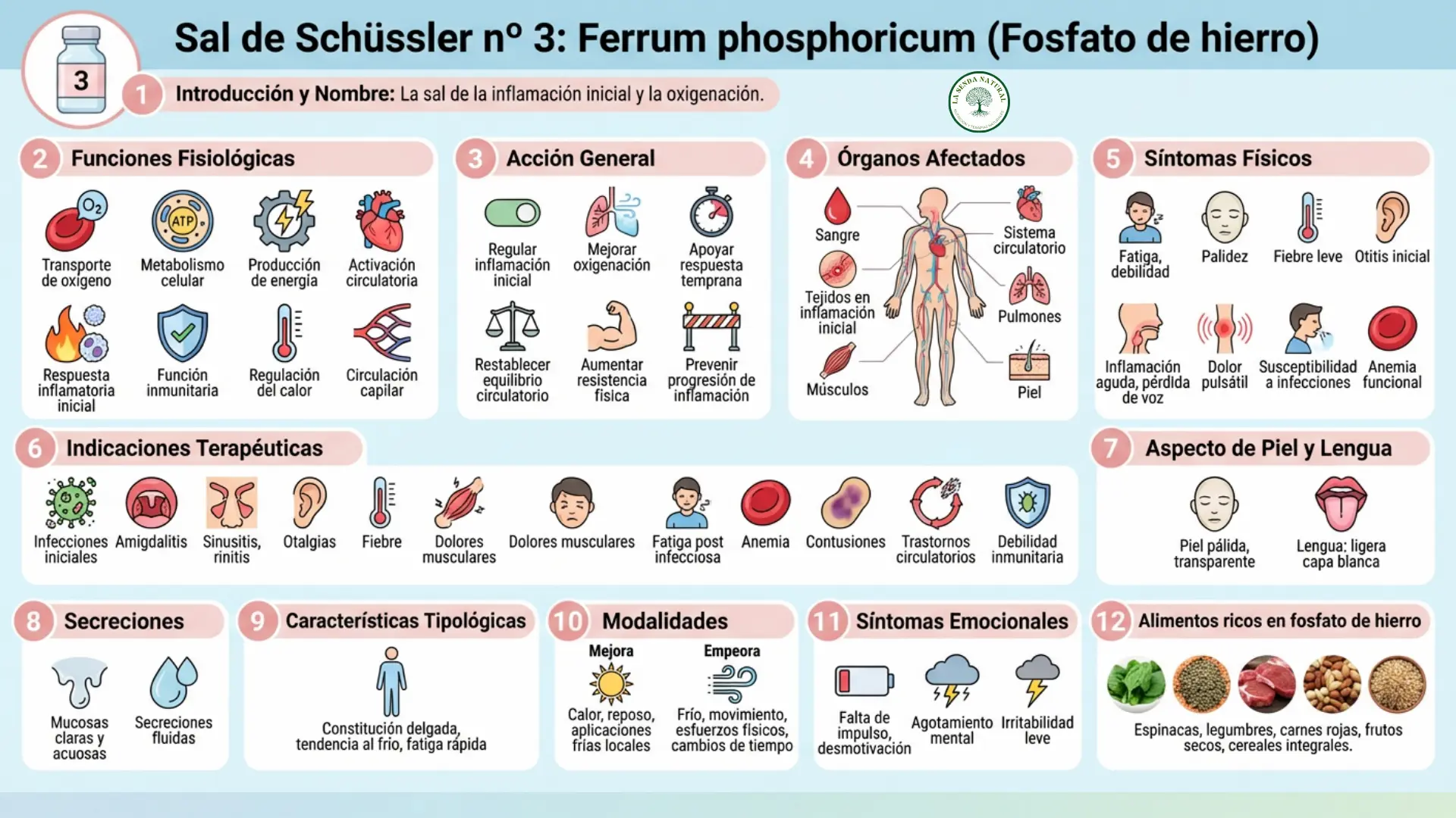 Sal nº 3 Ferrum phophoricum