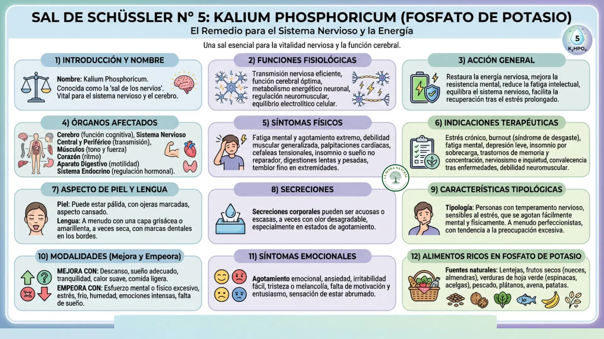 Sal nº 5 kalium phosphoricum