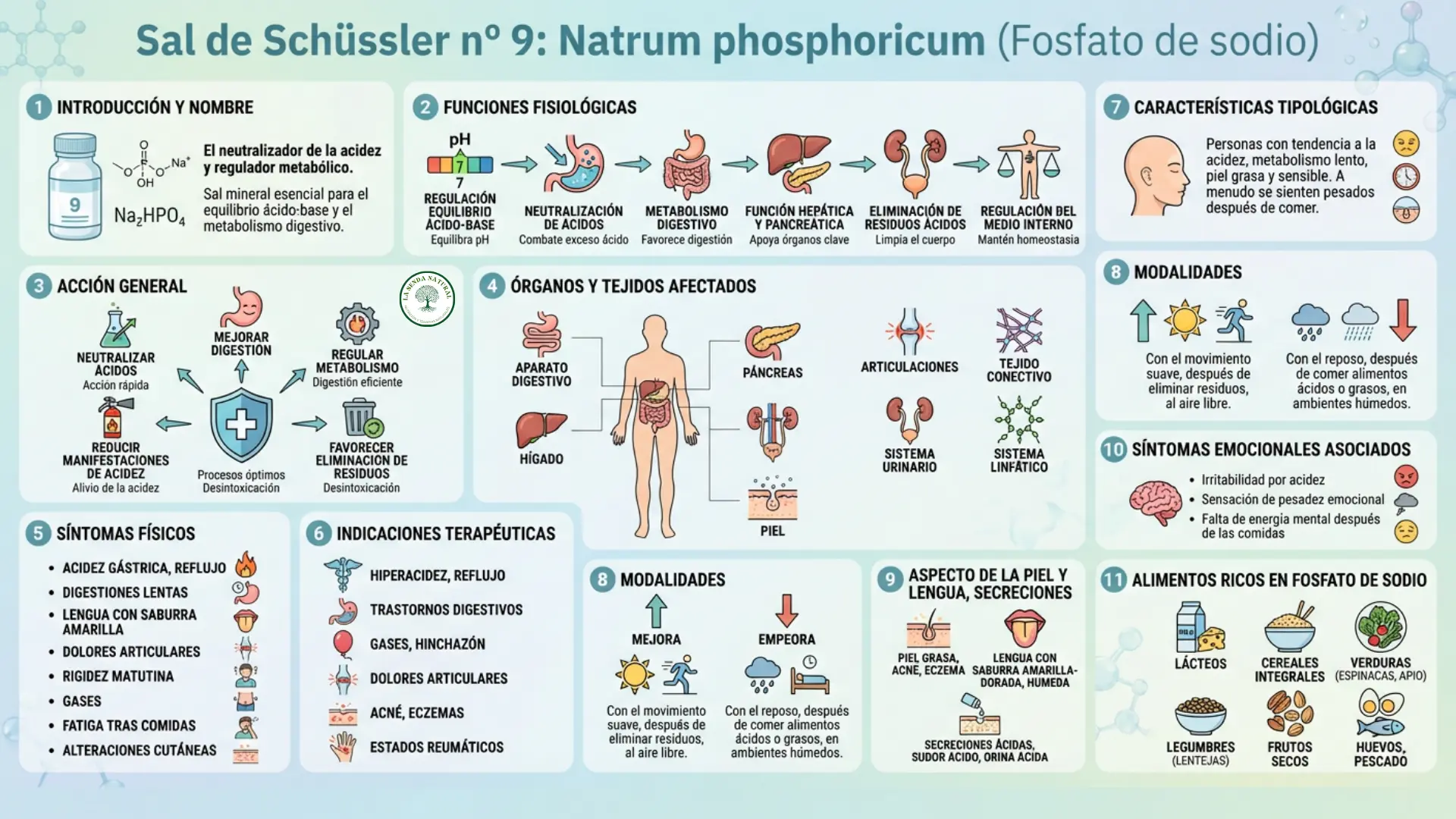 Sal nº 9 Natrum Phosphoricum