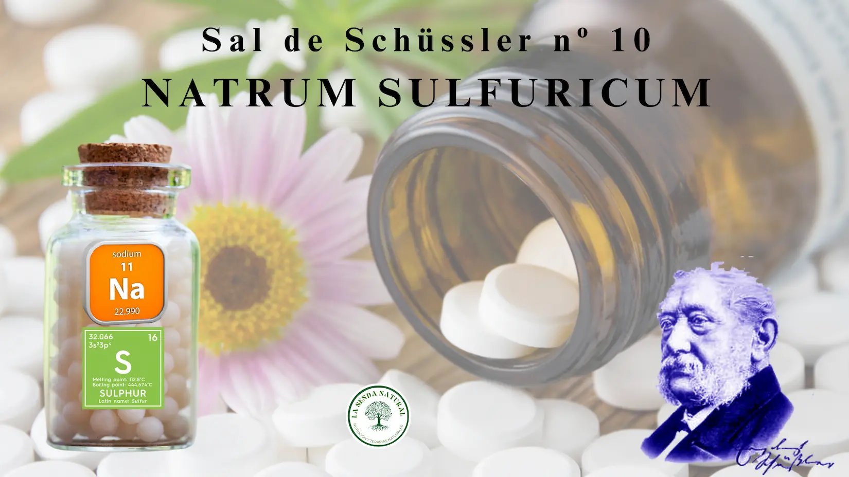 Sal nº10-NATRUM SULFURICUM