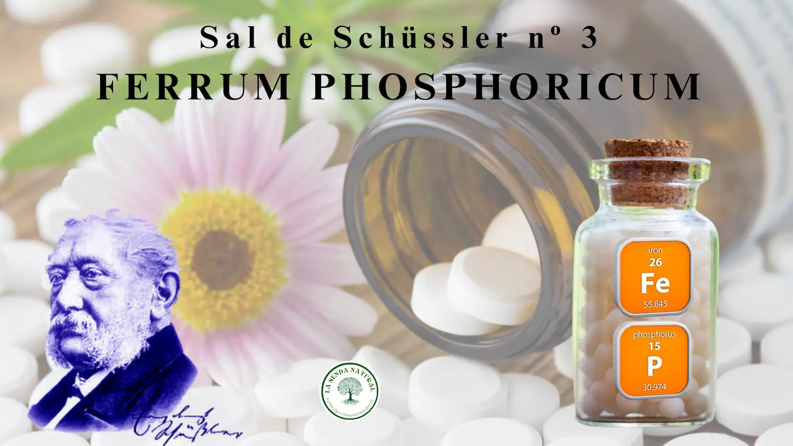 Sal número 3. Ferrum Phosphóricum