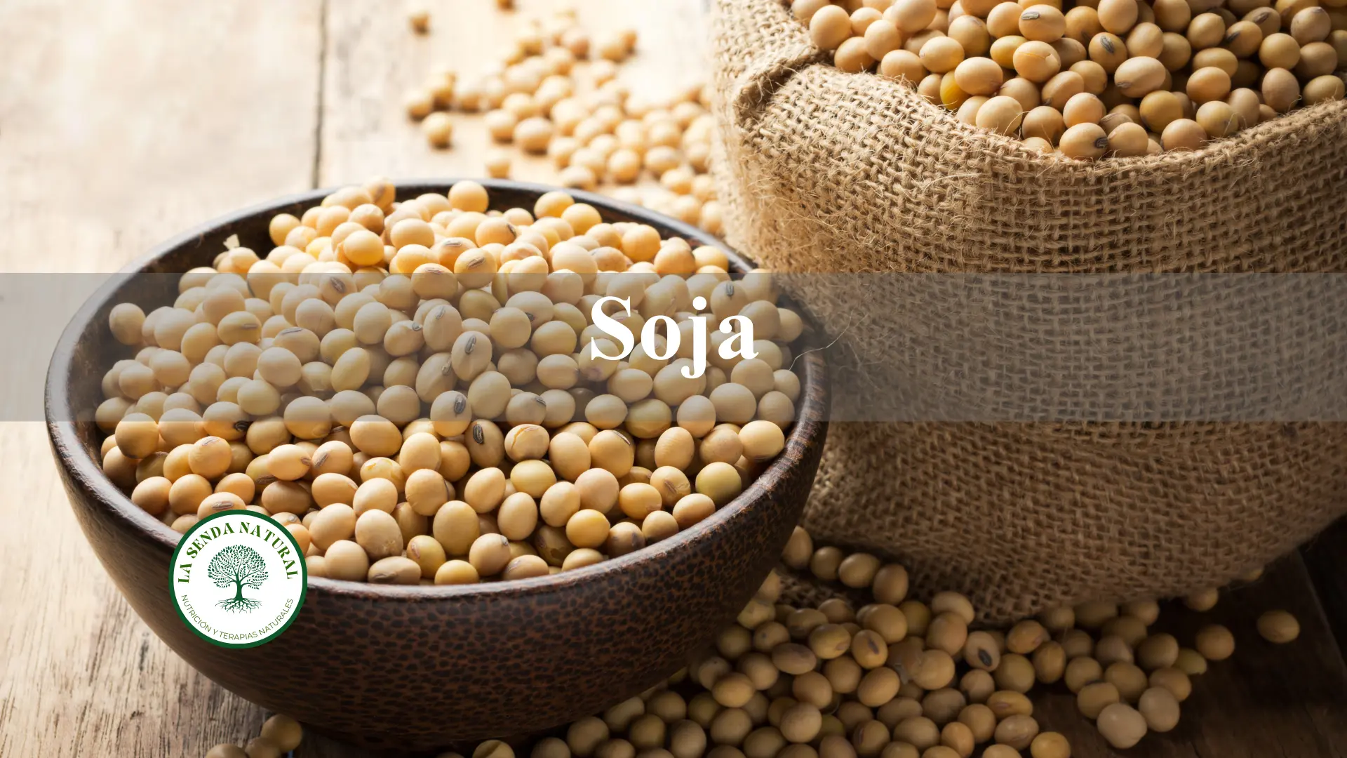 Soja