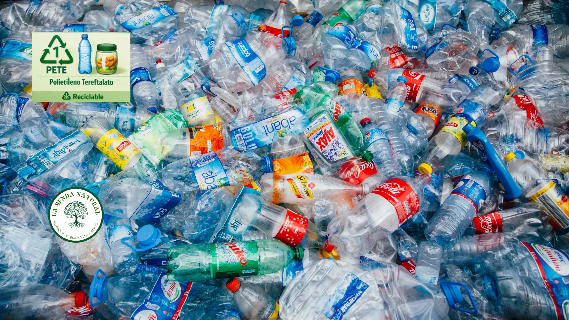 Tereftalato de polietileno