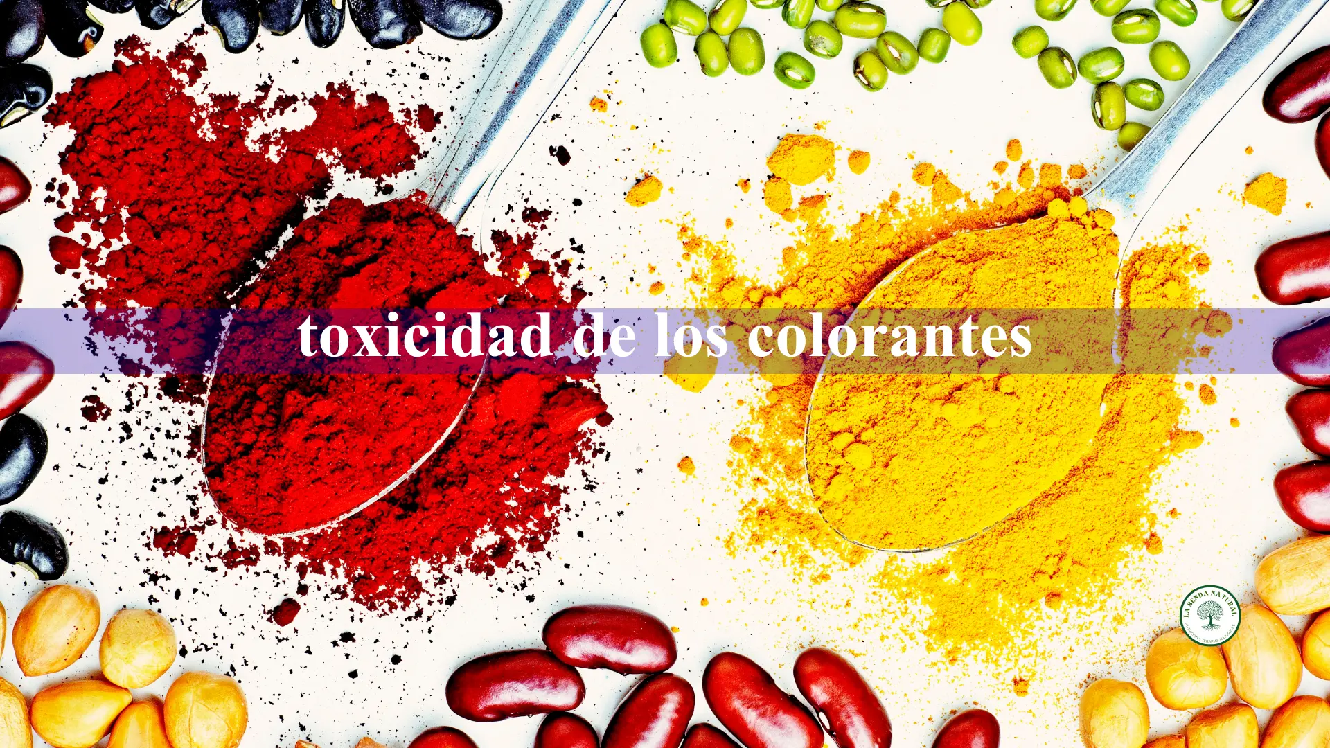 Toxicidad de los aditivos