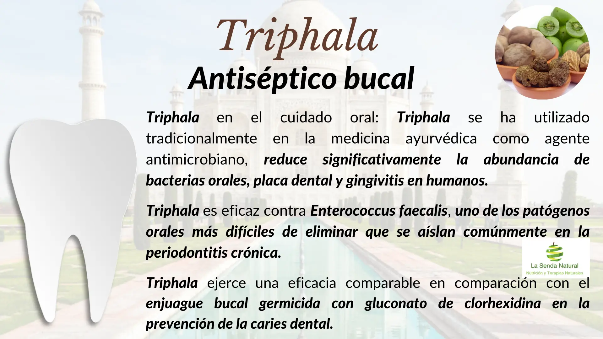 Triphala efecto antiséptico oral