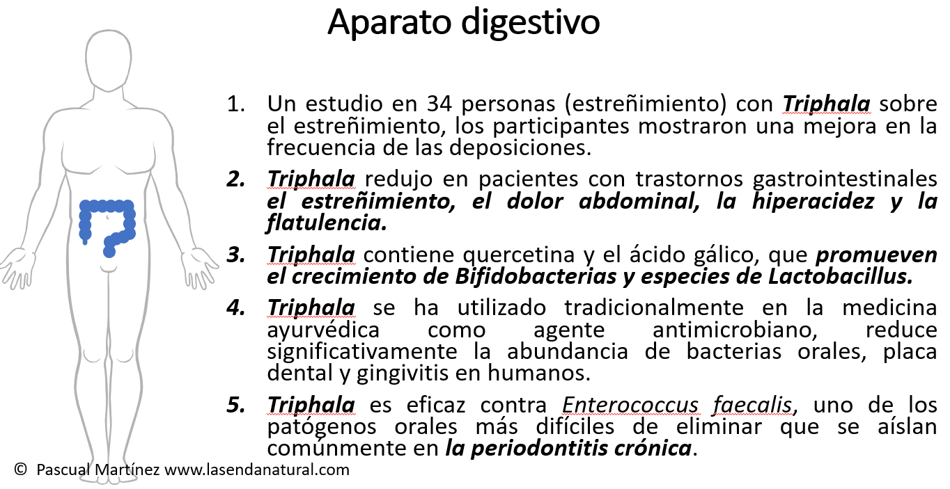 Triphala y sistema digestivo