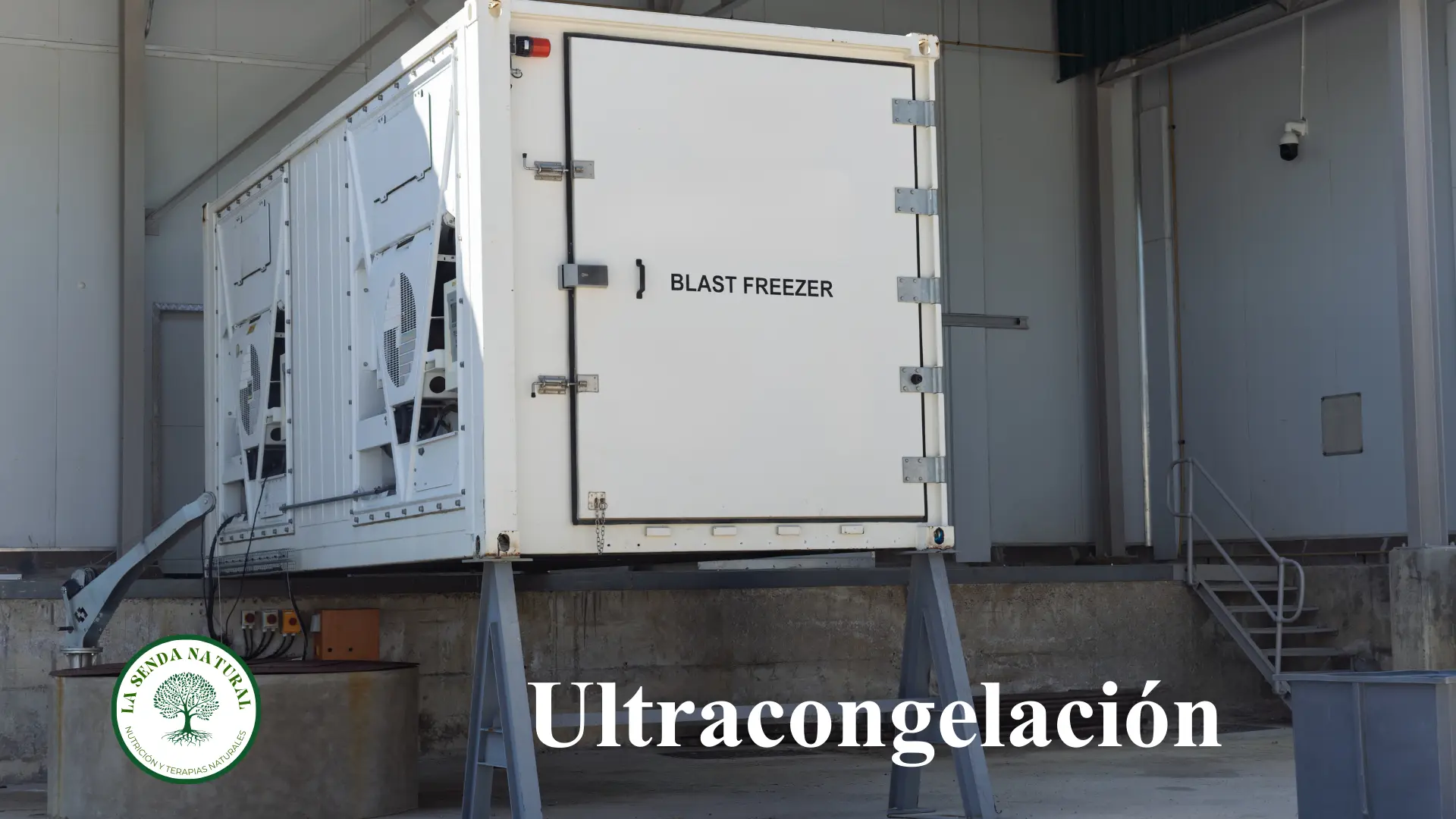 Ultracongelación