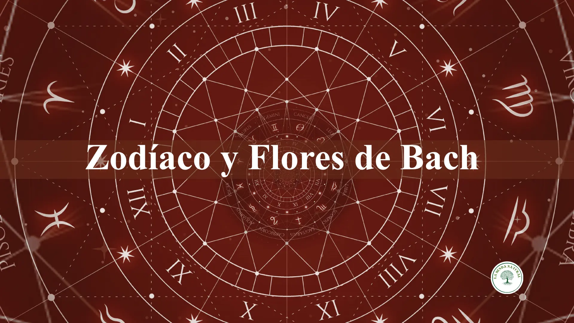 Zodíaco y flores de Bach