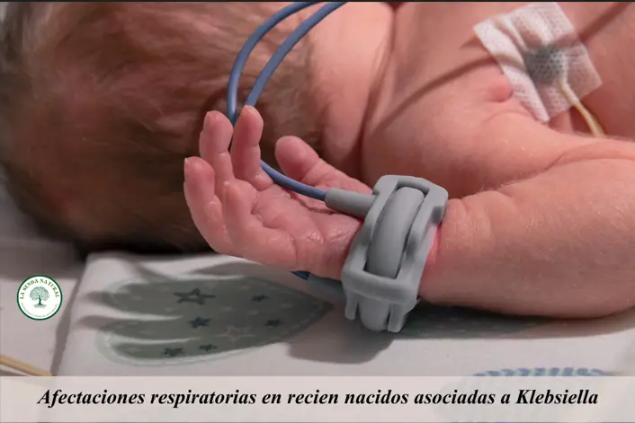 afectaciones respiratorias en bebes por Klebsiella pneumoniae