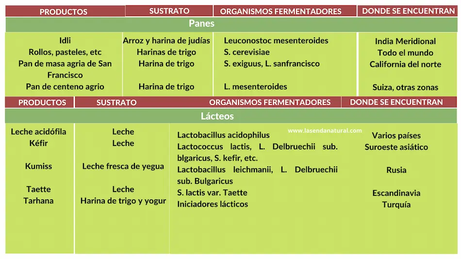 alimentos y microorganismos