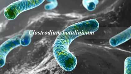 clostridium botulinum