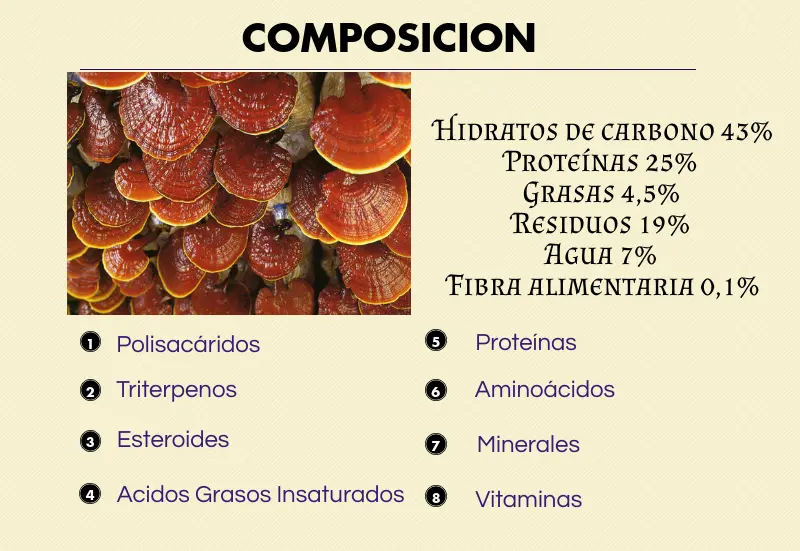 composición del reishi