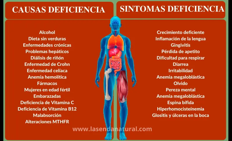 deficiencia de folatos (B9)