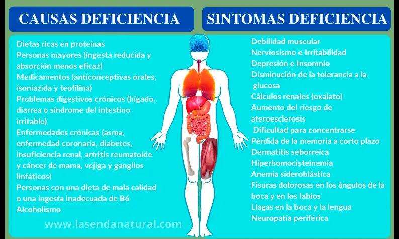 deficiencia de Piridoxina (B6)