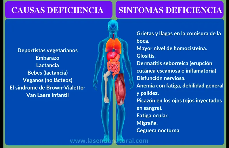 deficiencia de RIboflavina (B2)