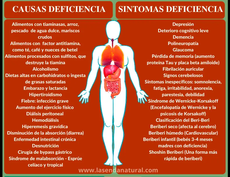 deficiencia de Tiamina (B1)