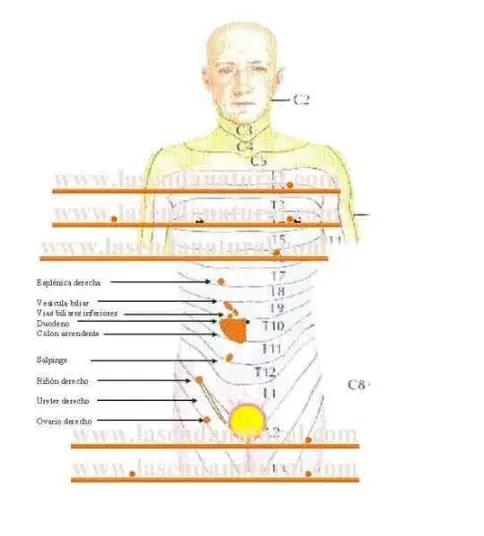 dermalgias -2
