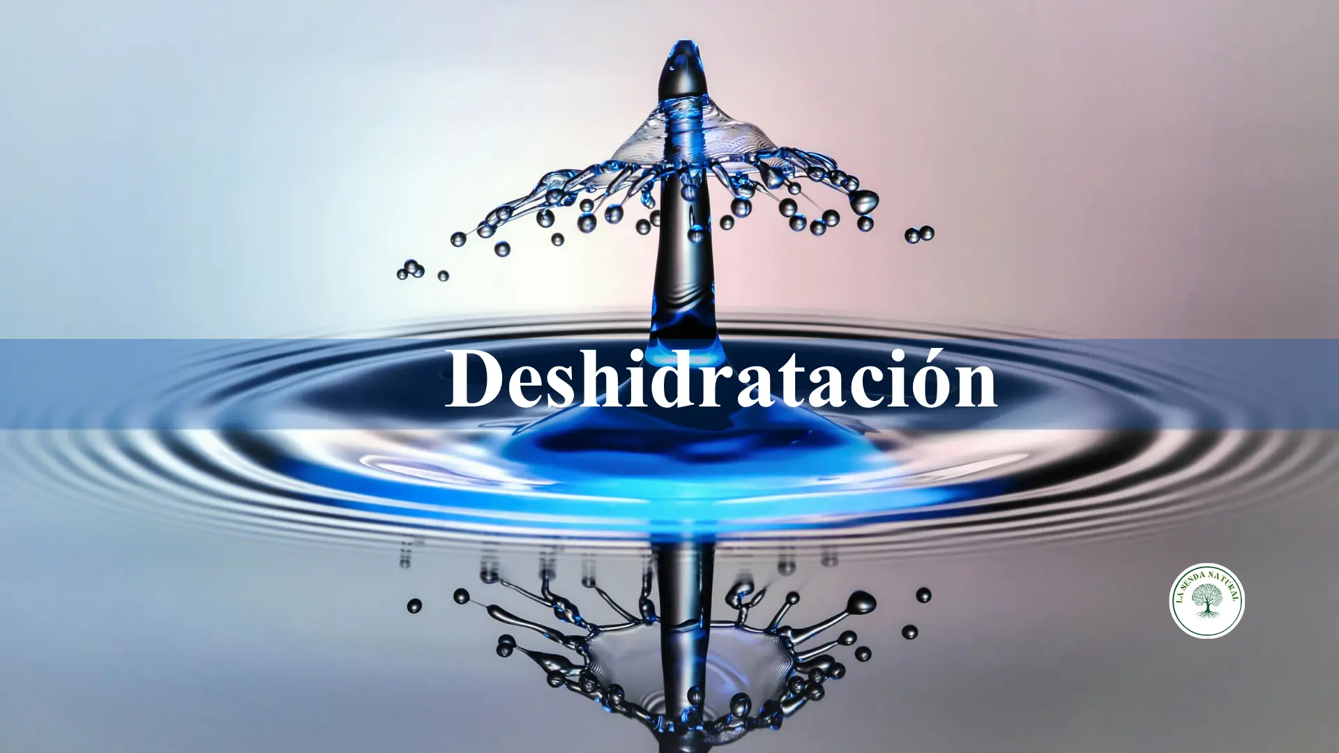 deshidratacion