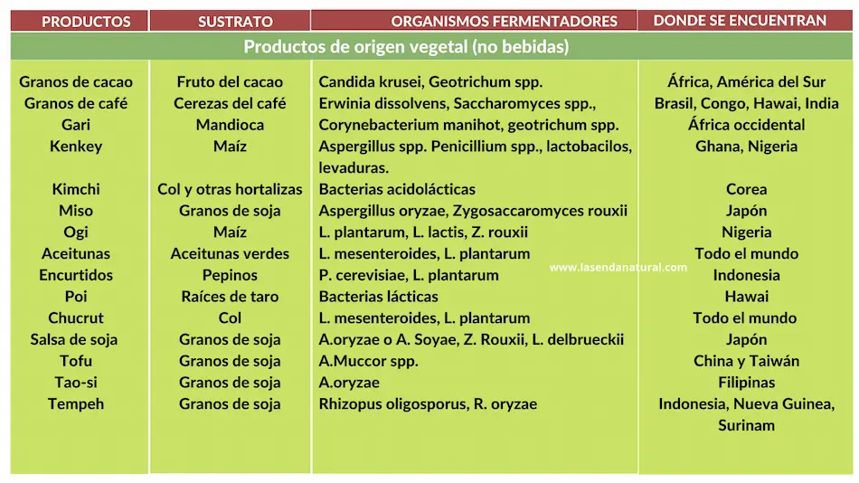 efectos de los microorganismos en los alimentos