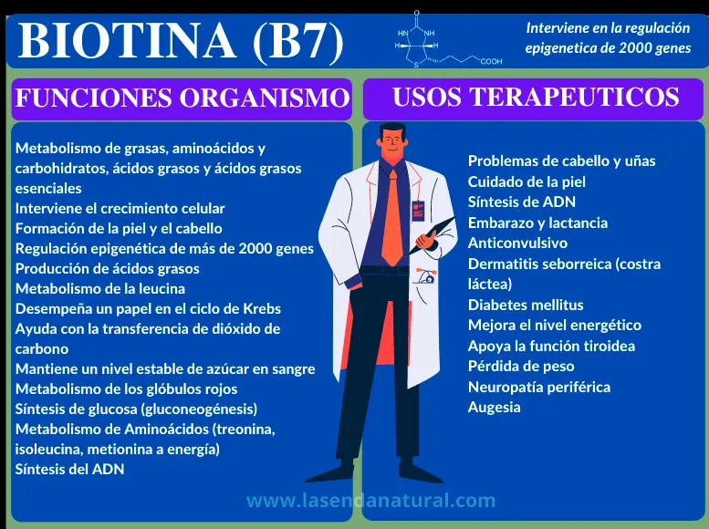funciones de la biotina