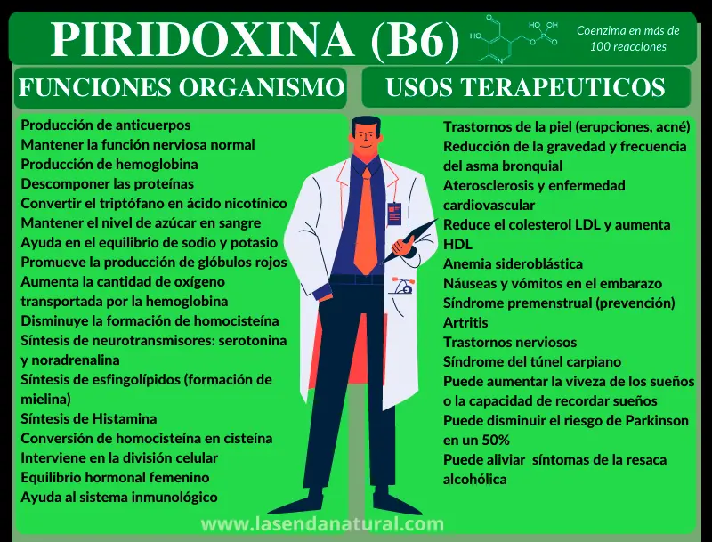 funciones de la piroxidina