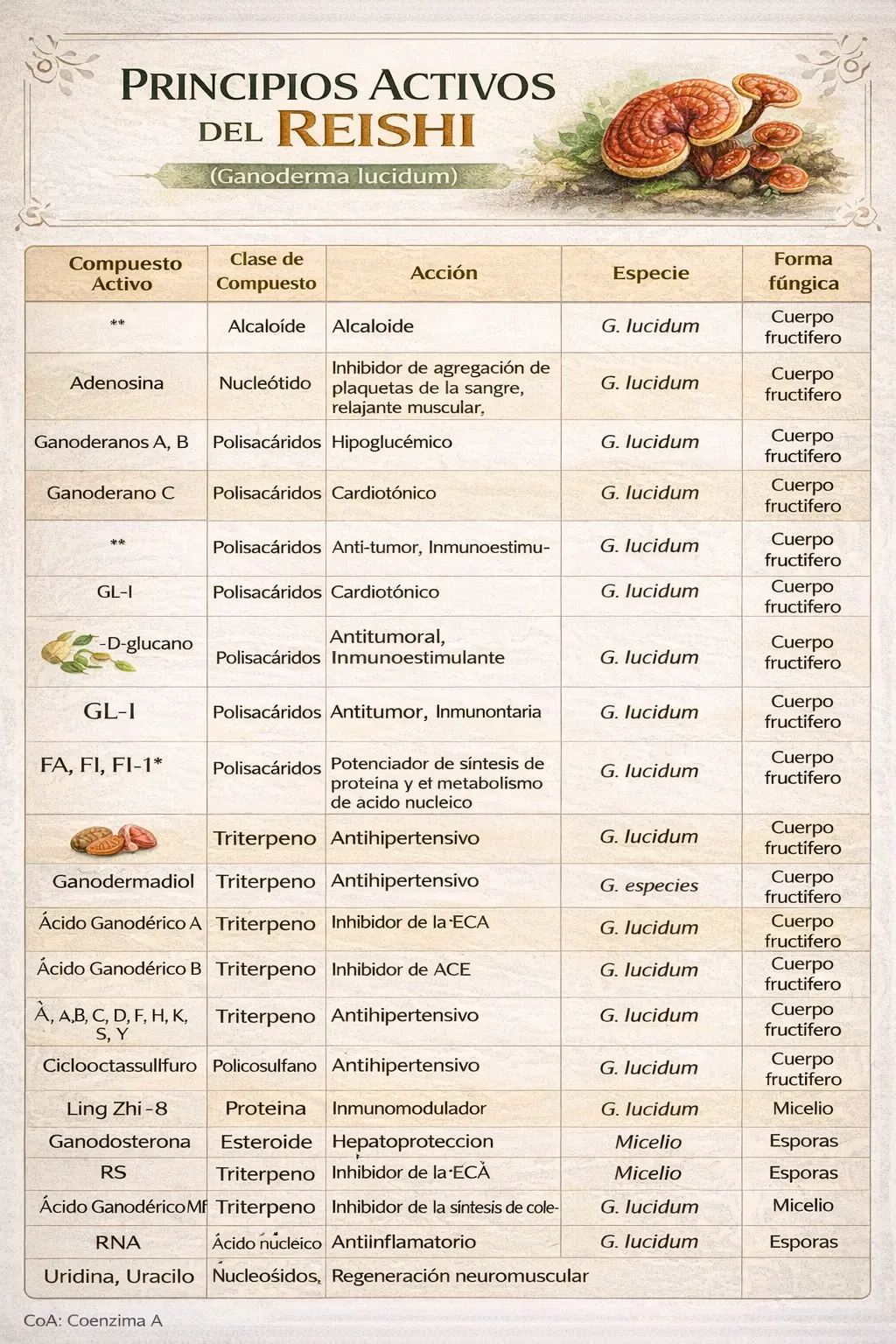 lista de principios activos del Reishi