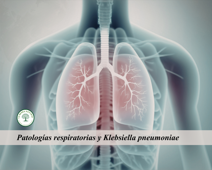Qué es la Klebsiella pneumoniae