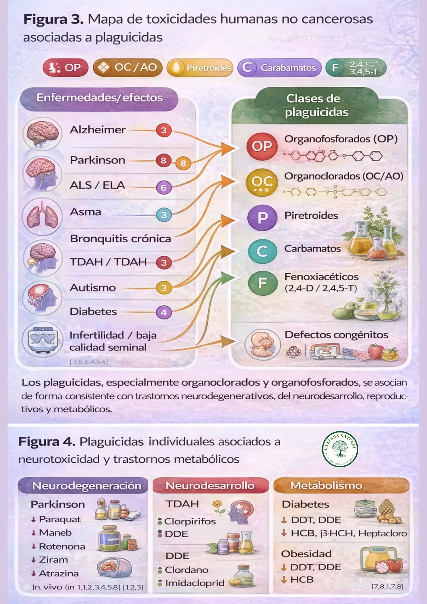 plaguicidas cancerígenos