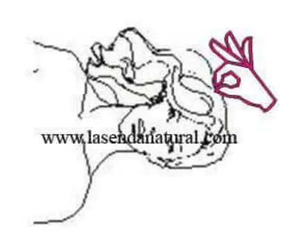 test deshidratacion