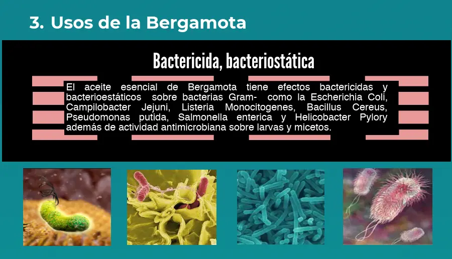 usos de la bergamota